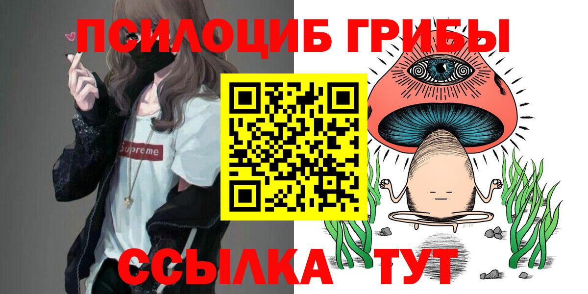 Псилоцибиновые грибы мухоморы  Вход с VPN  Бийск 