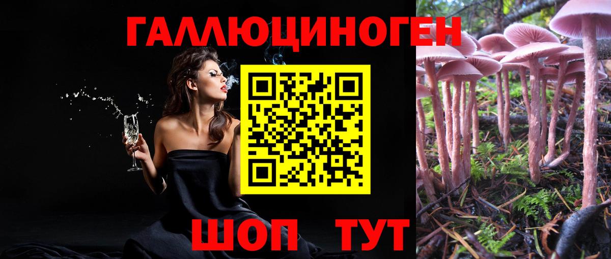Галлюциногенные грибы мицелий Бийск